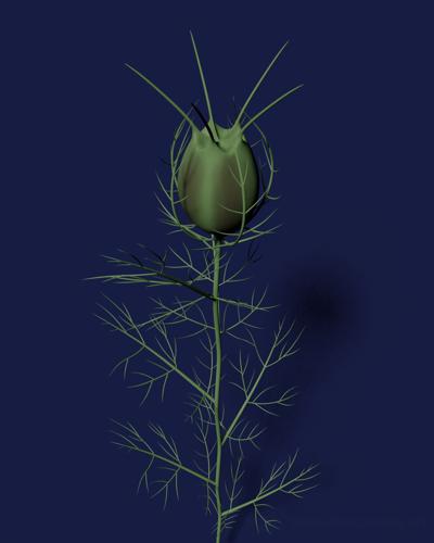 A green plant with an airship-shaped pod on it.